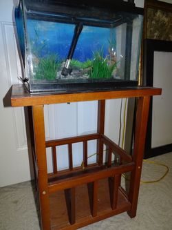 5 gal fish tank , stand