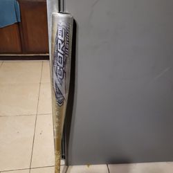 Baseball Bat 34