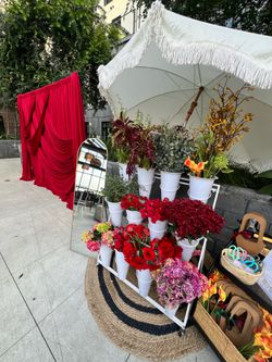 Bloom bar/flower cart/carrito de Flores
