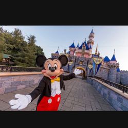 Disneyland Ticket Scam !!!!! 