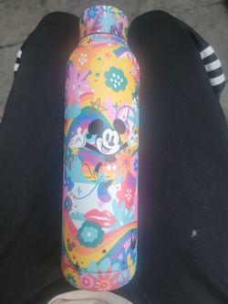 Disney Flask