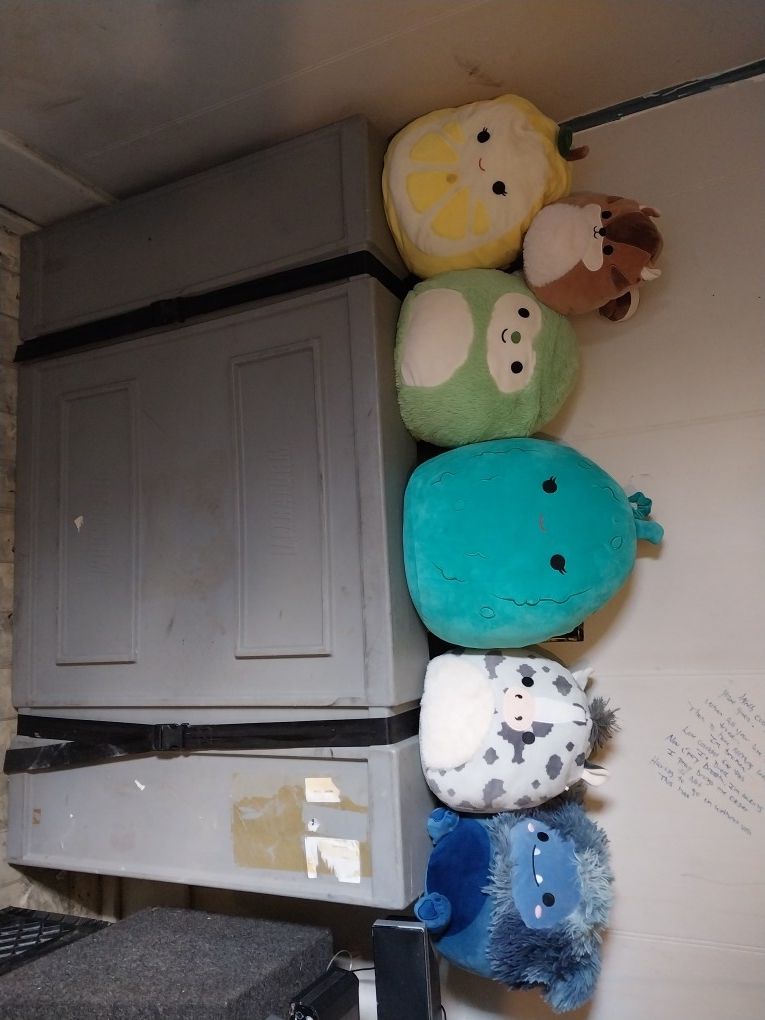 Stuffed Animals