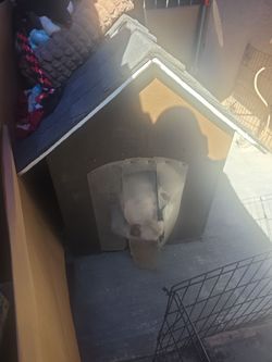 Dog House large