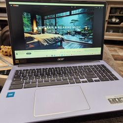 Acer Chromebook 315  