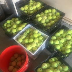 Used Tennis Balls 100 for $10