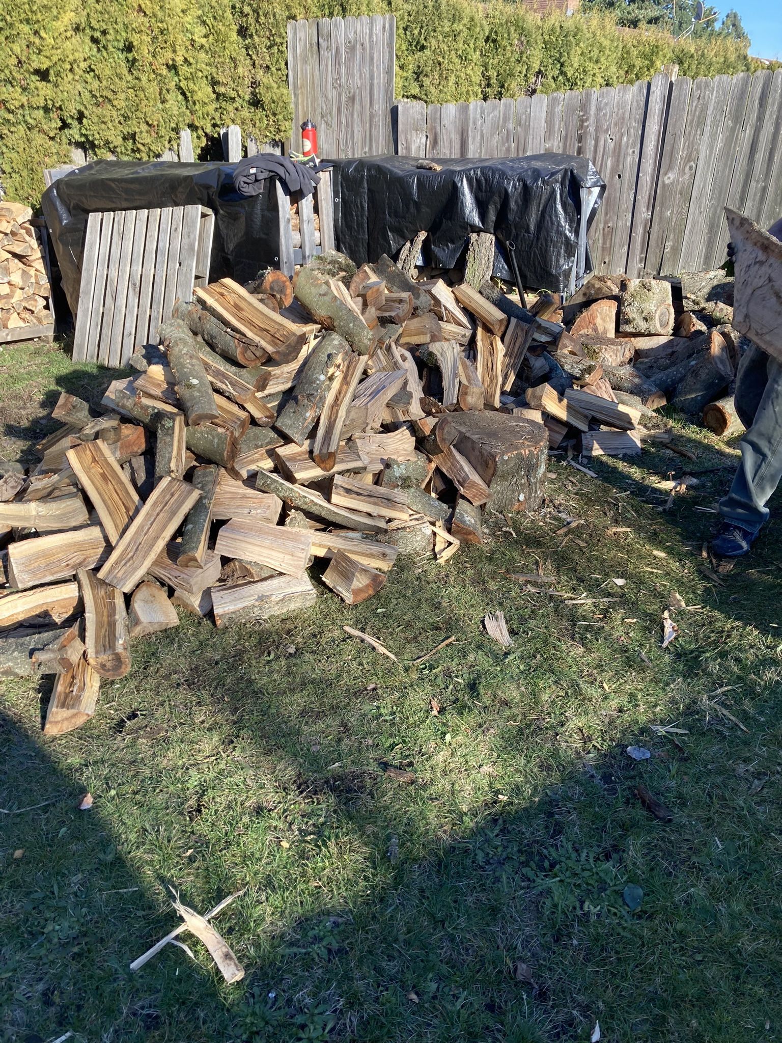 Oak firewood