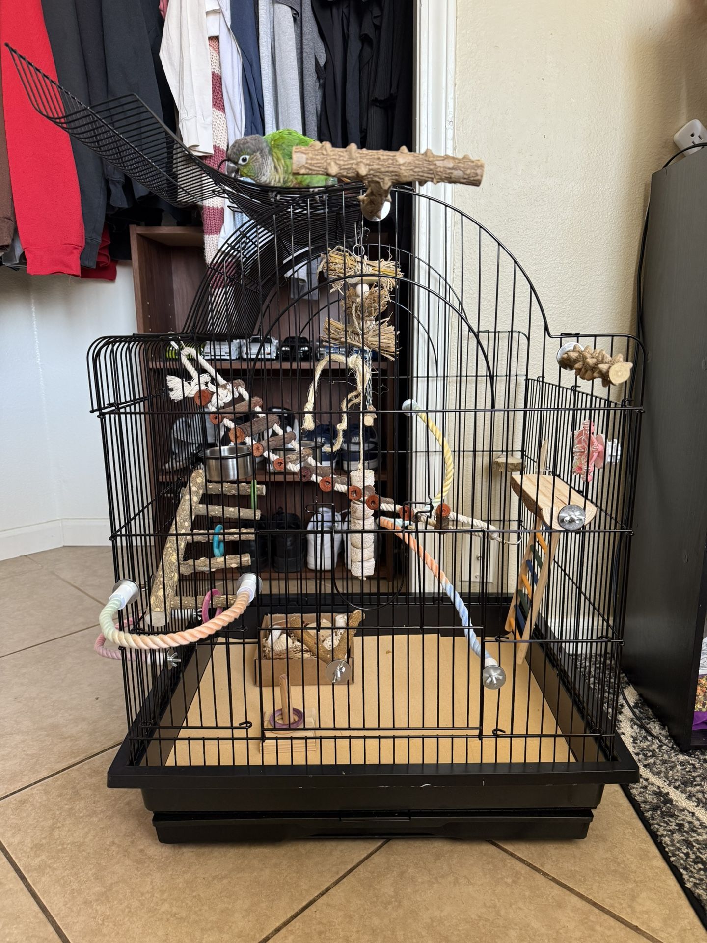 BIRD cage With Toys And Other Stuff