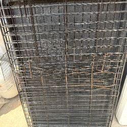 Dog Cage 36x22
