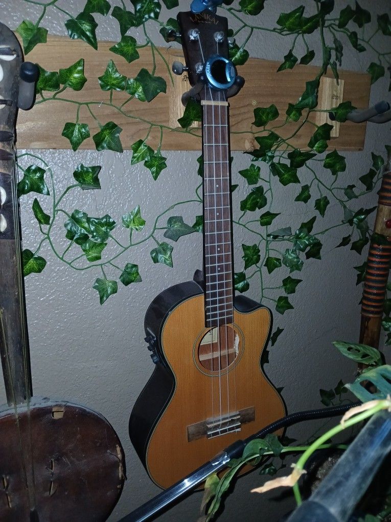 Electric Ukulele