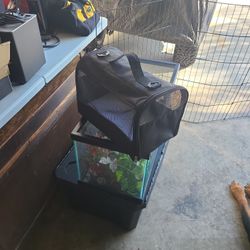 Vibrant Life Pet Carrier