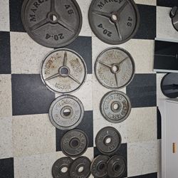 Weight Plated, Olympic Bar, Curl Bar