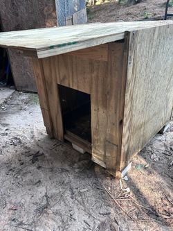 Dog House