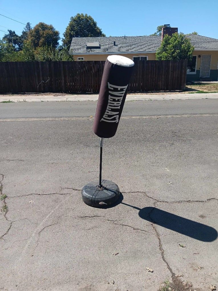 Everlast Standalone Punching Bag