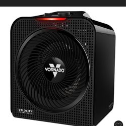 Vornado heater