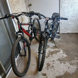 2 Bicicletas
