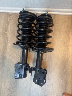 Pair strut coil spring