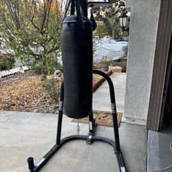 Everlast Heavy Bag/Speed Bag