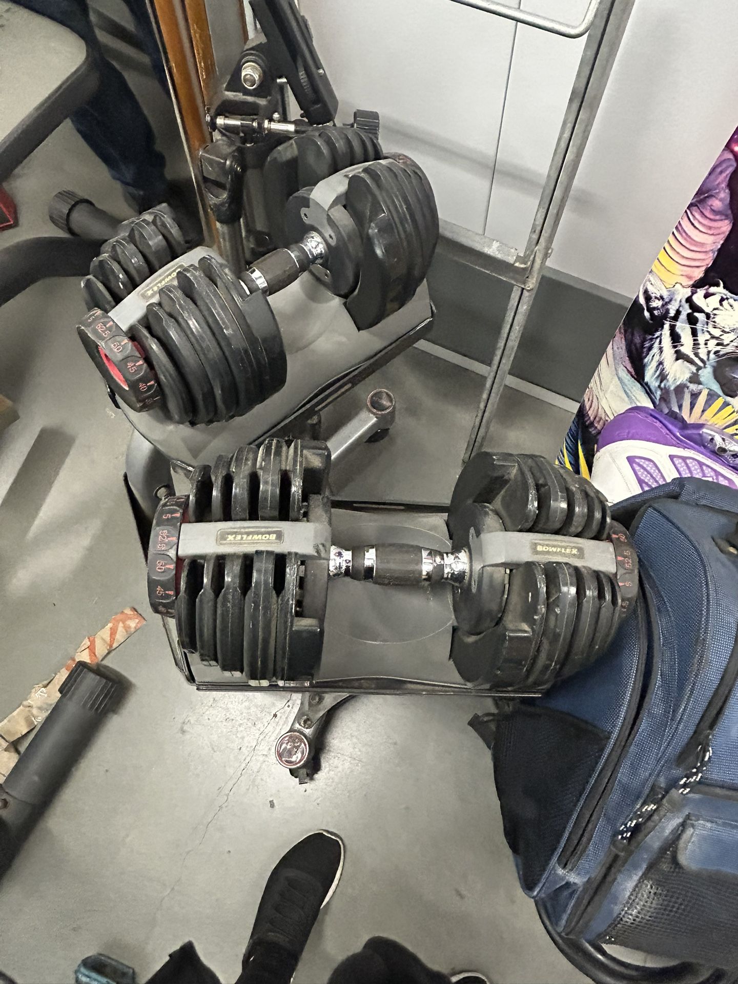 Weight Bench And Bowflex Set