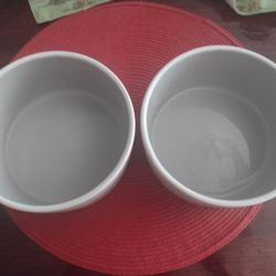 2 Glass Dog Bowls 