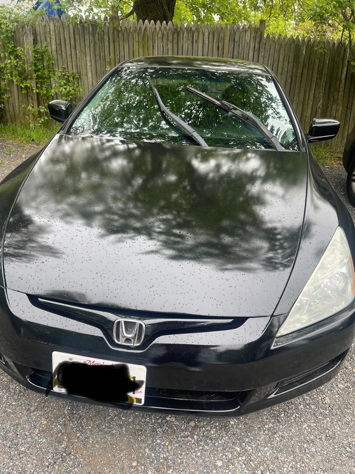 2005 Honda Accord