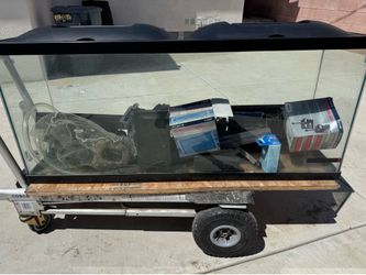 100 gallon fish tank