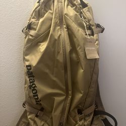 Patagonia Hydration Backpack