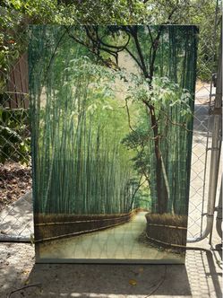 Large Bamboo Forest Wall Art / Canvas Print