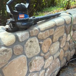 Toro Leaf Blower Vac