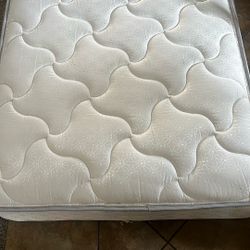 Twin Mattress And Box Spring 