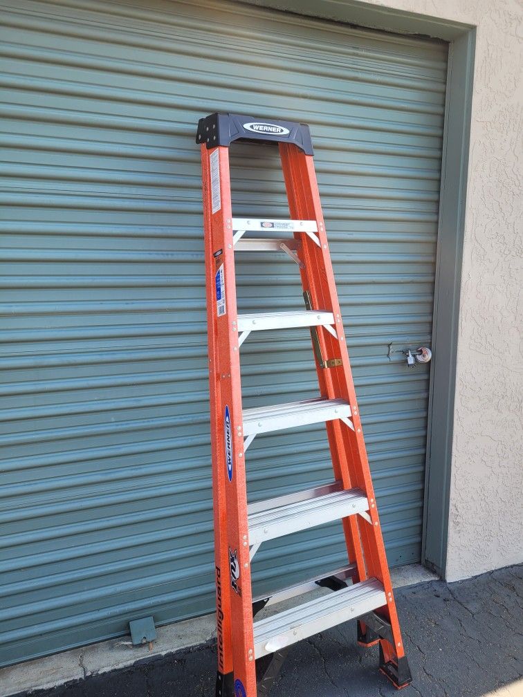 Werner 6' Ladder