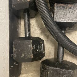 50 Lb Dumbbells 