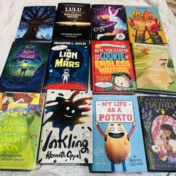 New Hardcover Chapter Books 