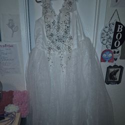 Plus Sized Formal Dress, Sparkly!