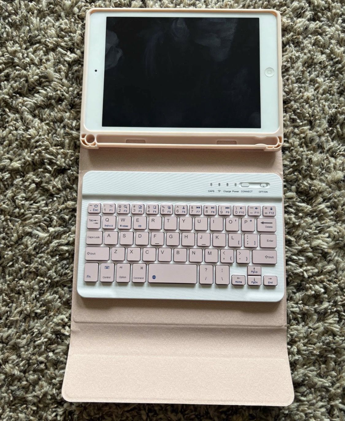 iPad