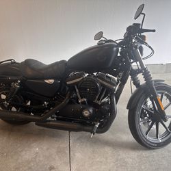 2019 Harley Davidson Sportster 883