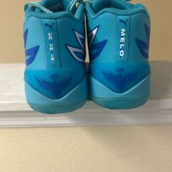 Basketball Sneakers Used Once