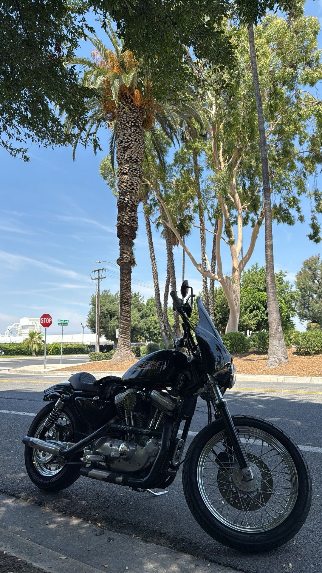 1997 Harley Sportster