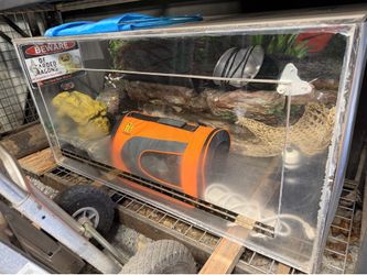 Custom Reptile Terrarium