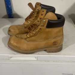 Timberland Shoe Size 10,5 