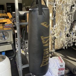 Punching Bag And Gloves 