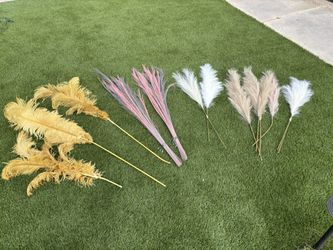 Pampas Grass 12 Pieces