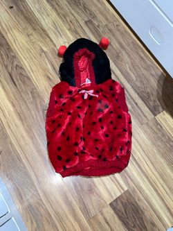 ladybug costume