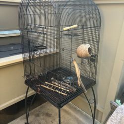 Bird Cage 