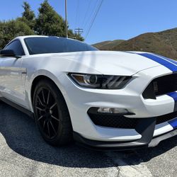 2016 Ford Shelby Gt350