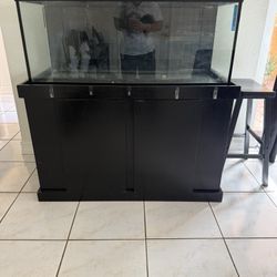 75 Gallon Tank And Stand