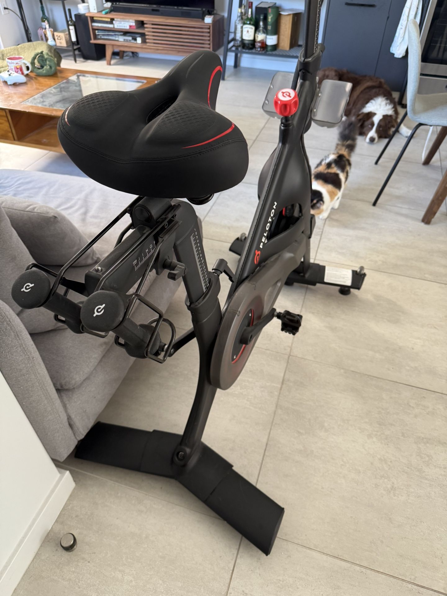 Peloton 2nd Gen