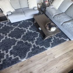 Living Spaces Couch Loveseat And Rug For $700, Great Condition