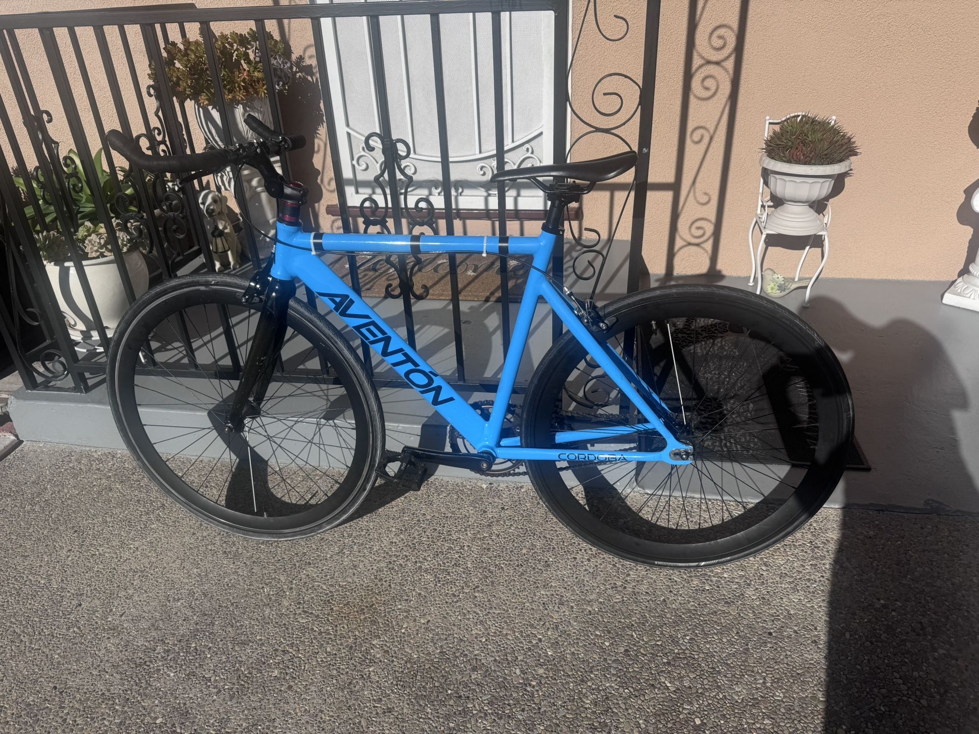 Blue Aventon Cordoba