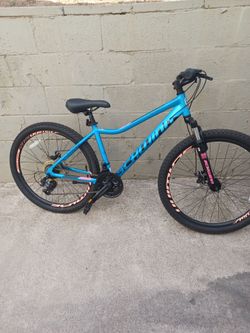 Schwinn Size 26 frame 17 speed21