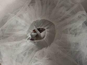 Petticoat/crinolina